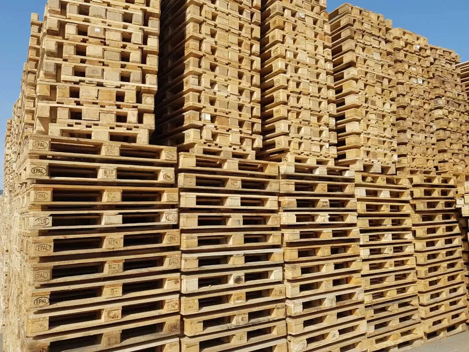 Піддони з патрона Туркуаз
